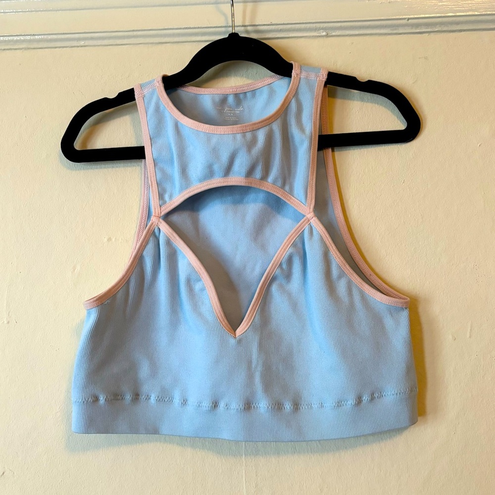 Seamless Baby Blue/Pink Lined Crop Top